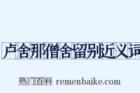 卢舍那僧舍留别近义词是什么意思的图片